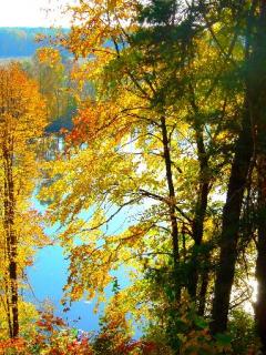 Other Wallpapers 0679